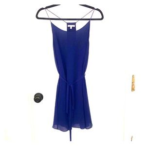 Blue Naked Zebra Tunic